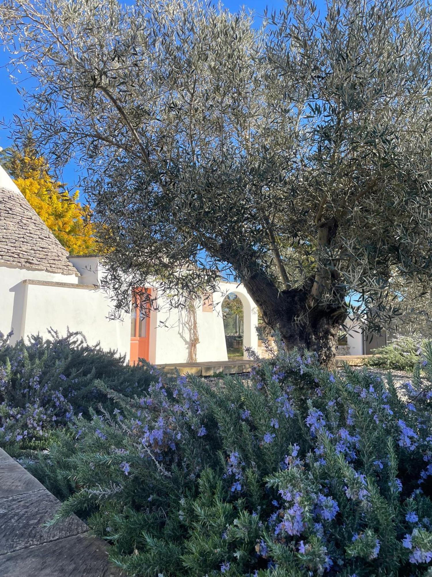 Trullo Panna Fragola - Exclusive Four Bedroom Villa & Private Pool Martina Franca Ngoại thất bức ảnh